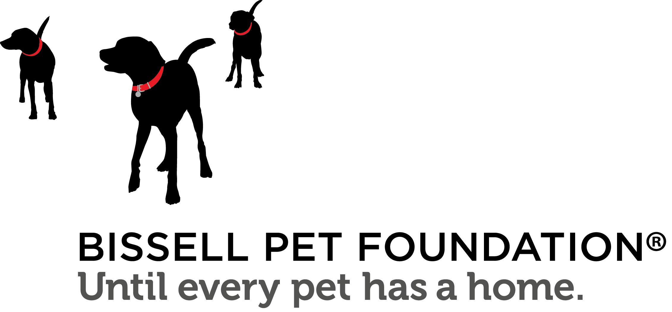 Bissell Pet Foundation — Until every pet has a home