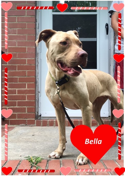 Bella