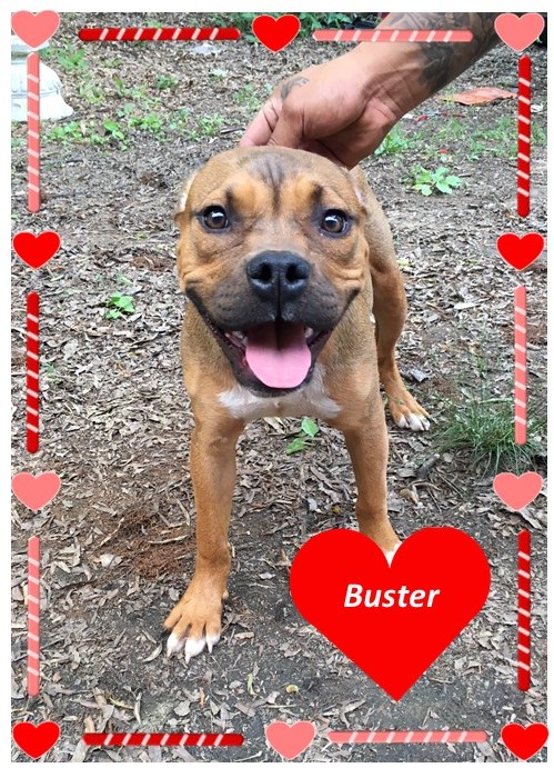 Buster
