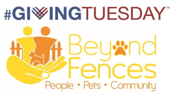 giving tuesday