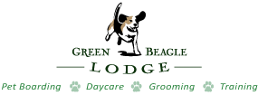 Green Beagle Lodge