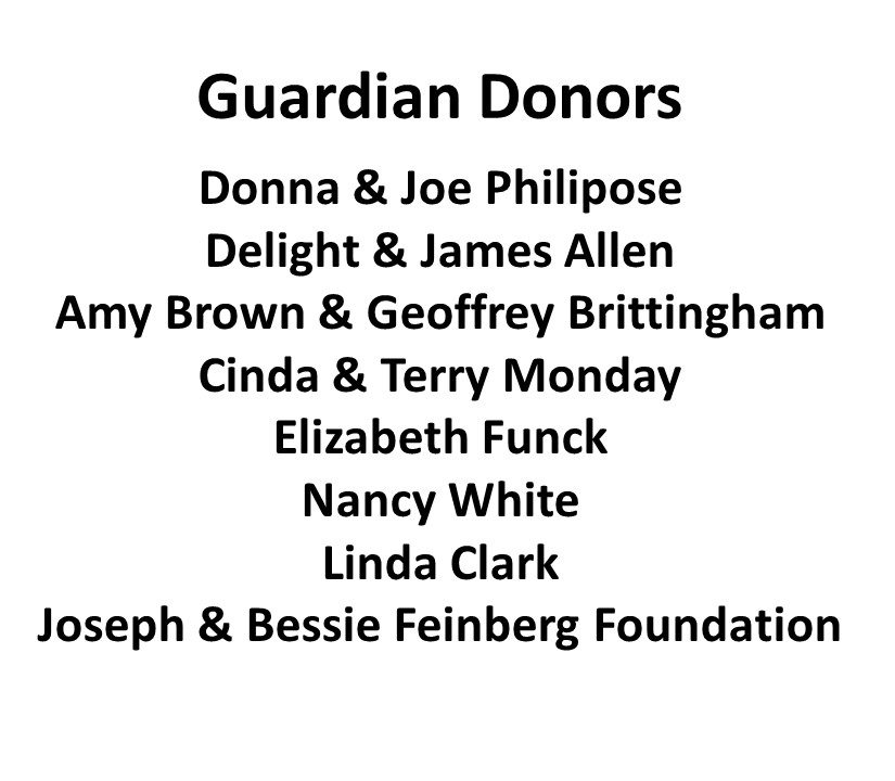 Guardian Donors