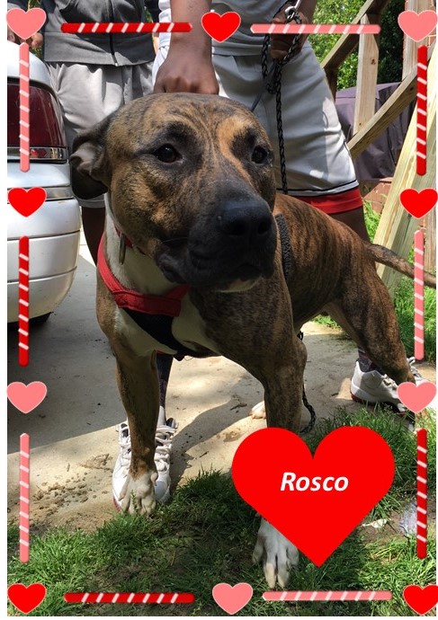 Rosco