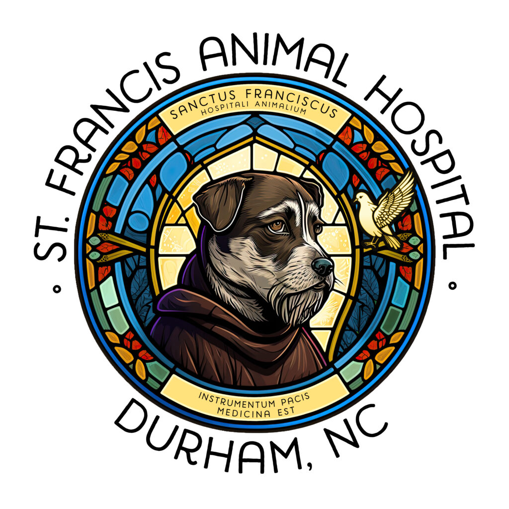 St Francis Vet