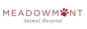 meadowmont_animal_hospital Meadowmont Anima Hospital